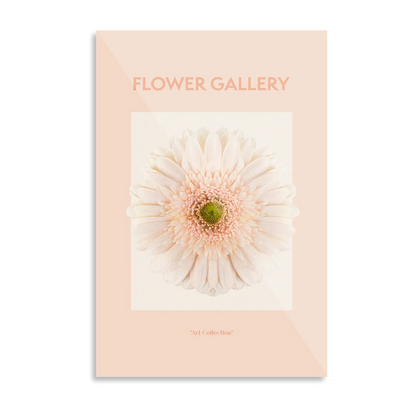 Peach afrikansk gerbera