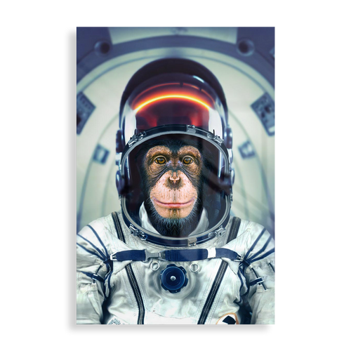Astronaut abe