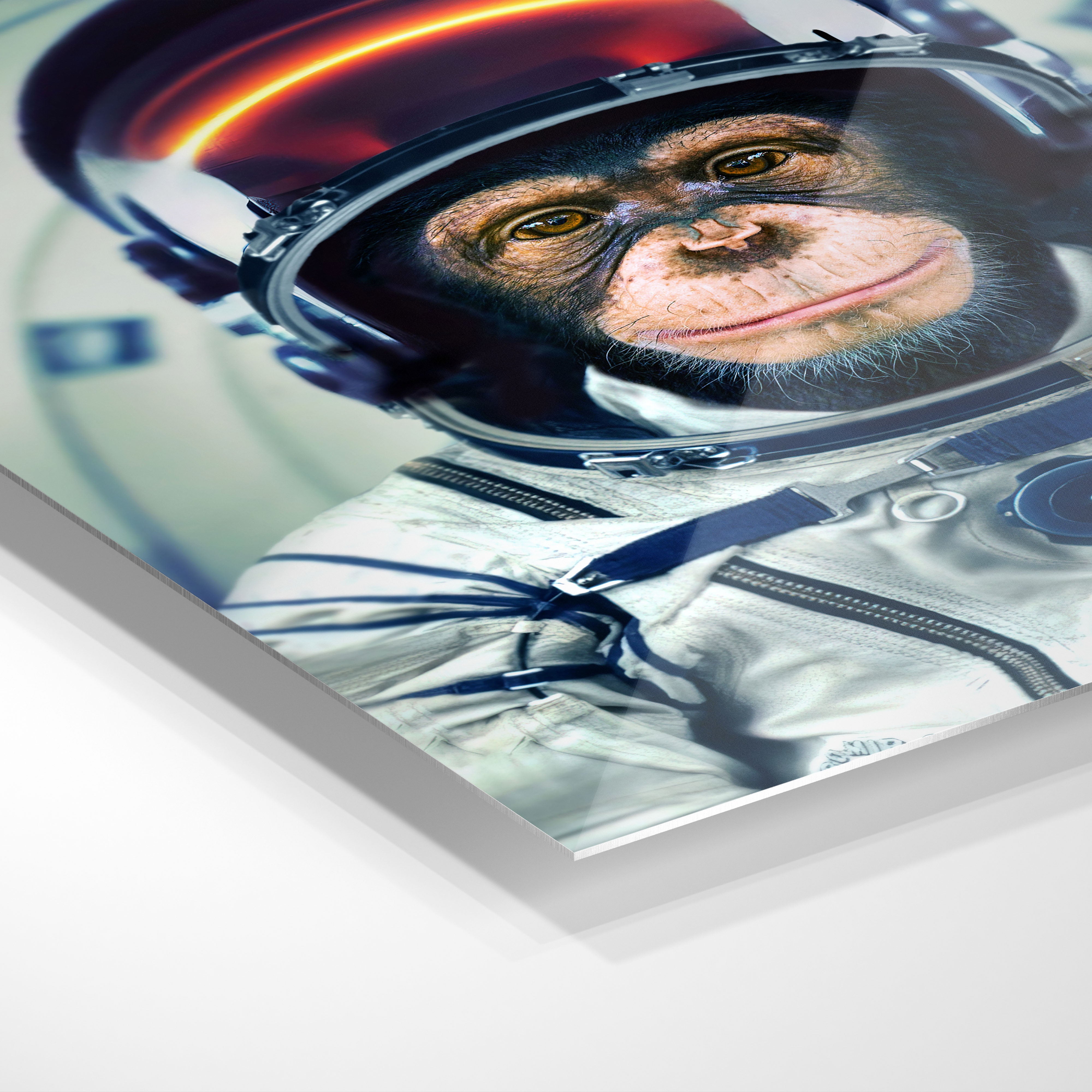 Astronaut monkey