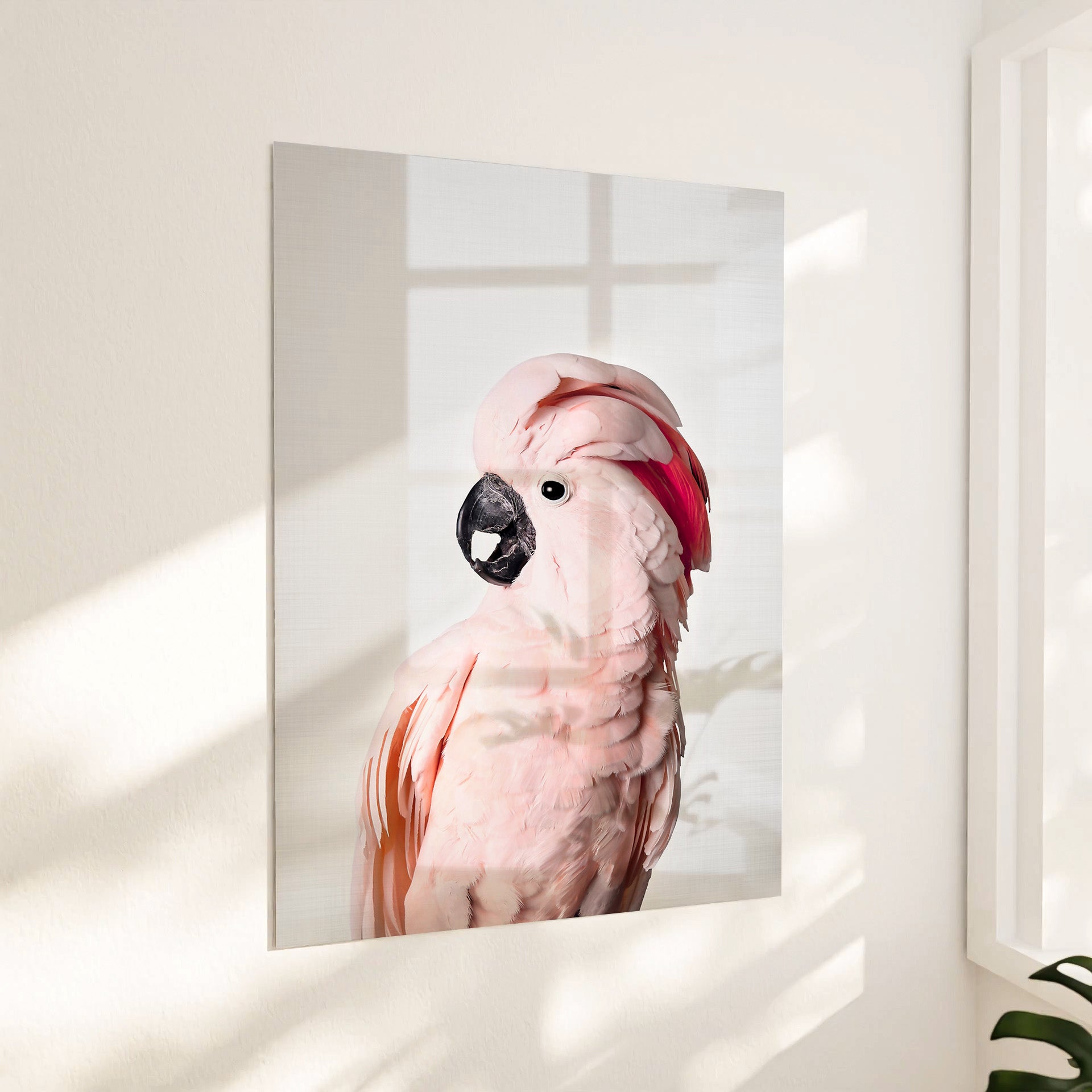 Pink Cockatoo