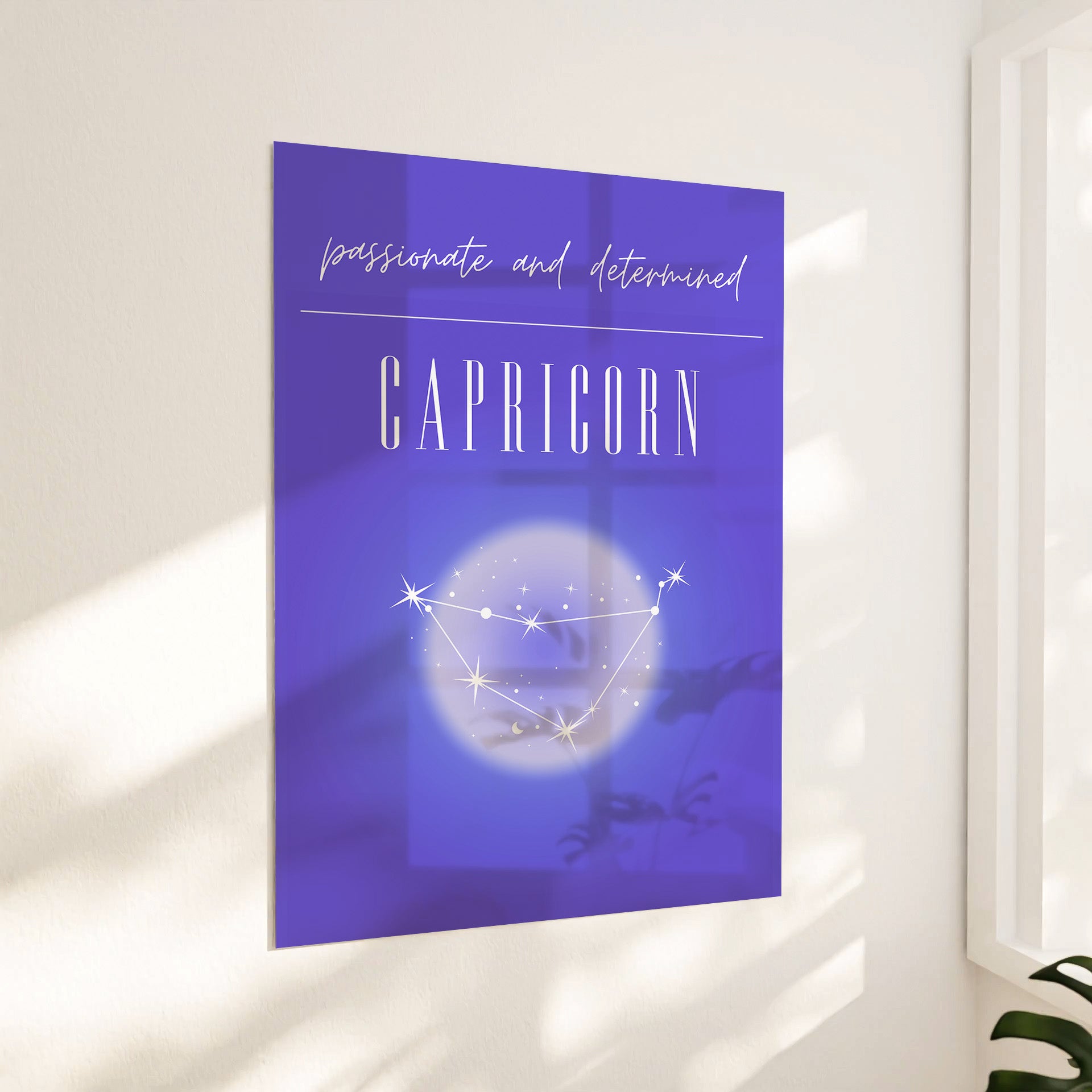 Zodiac sign - Capricorn