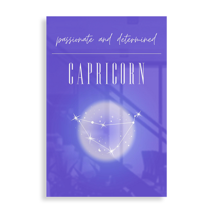 Stjernetegn - Stenbukken