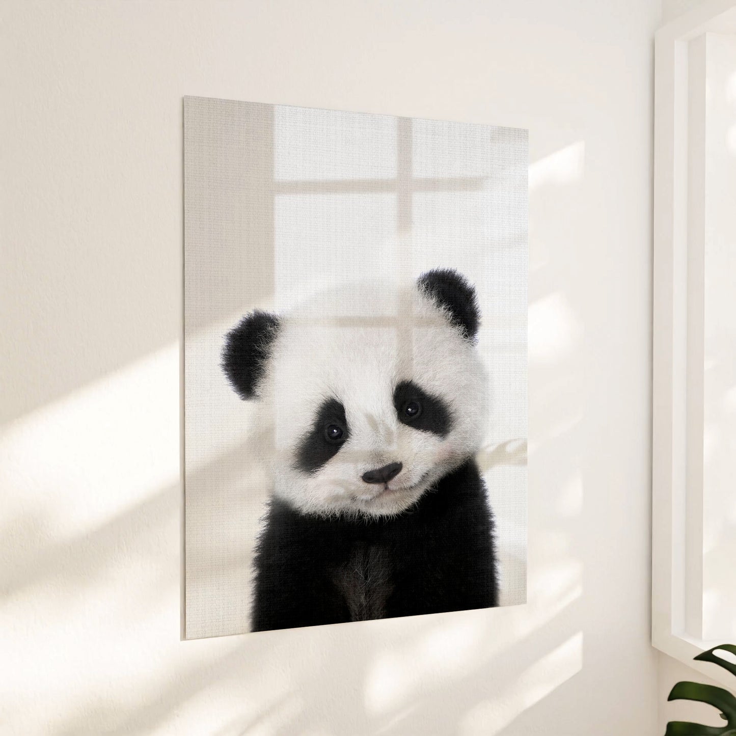 Lille panda