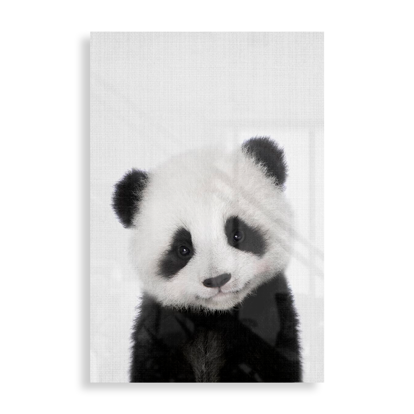 Lille panda