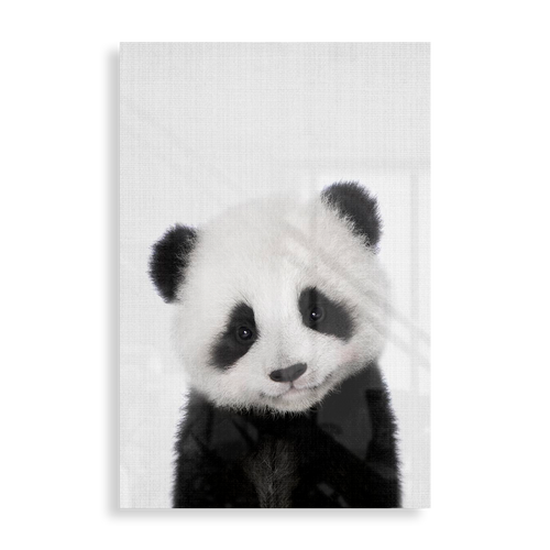 Lille panda
