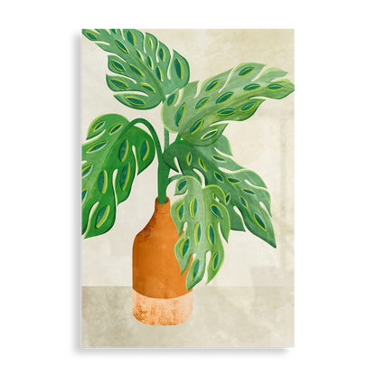 Monstera plant