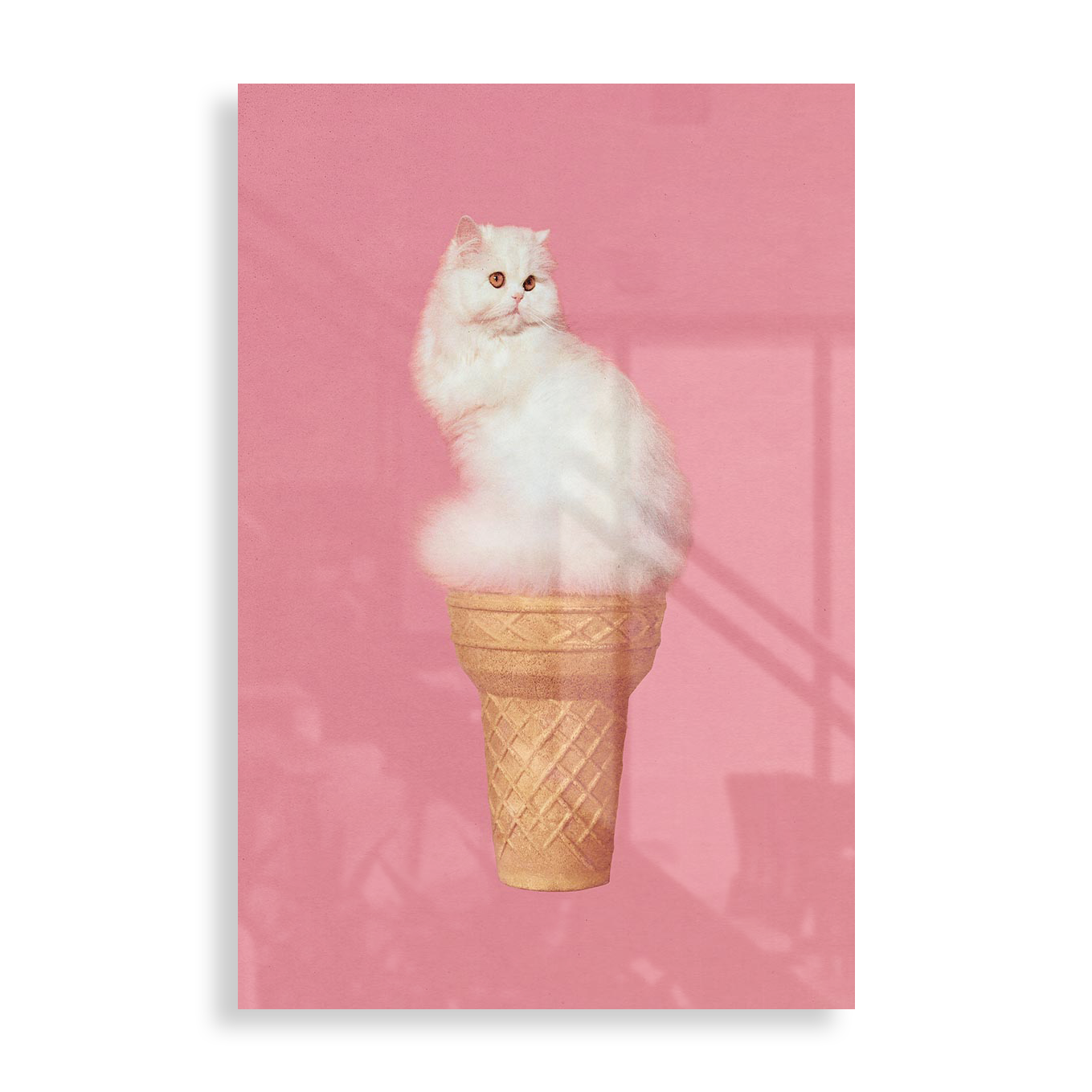 Ice Cream cat