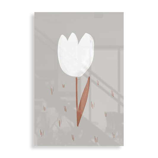 White tulip