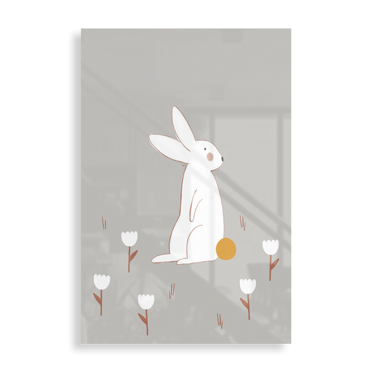 Little white rabbit