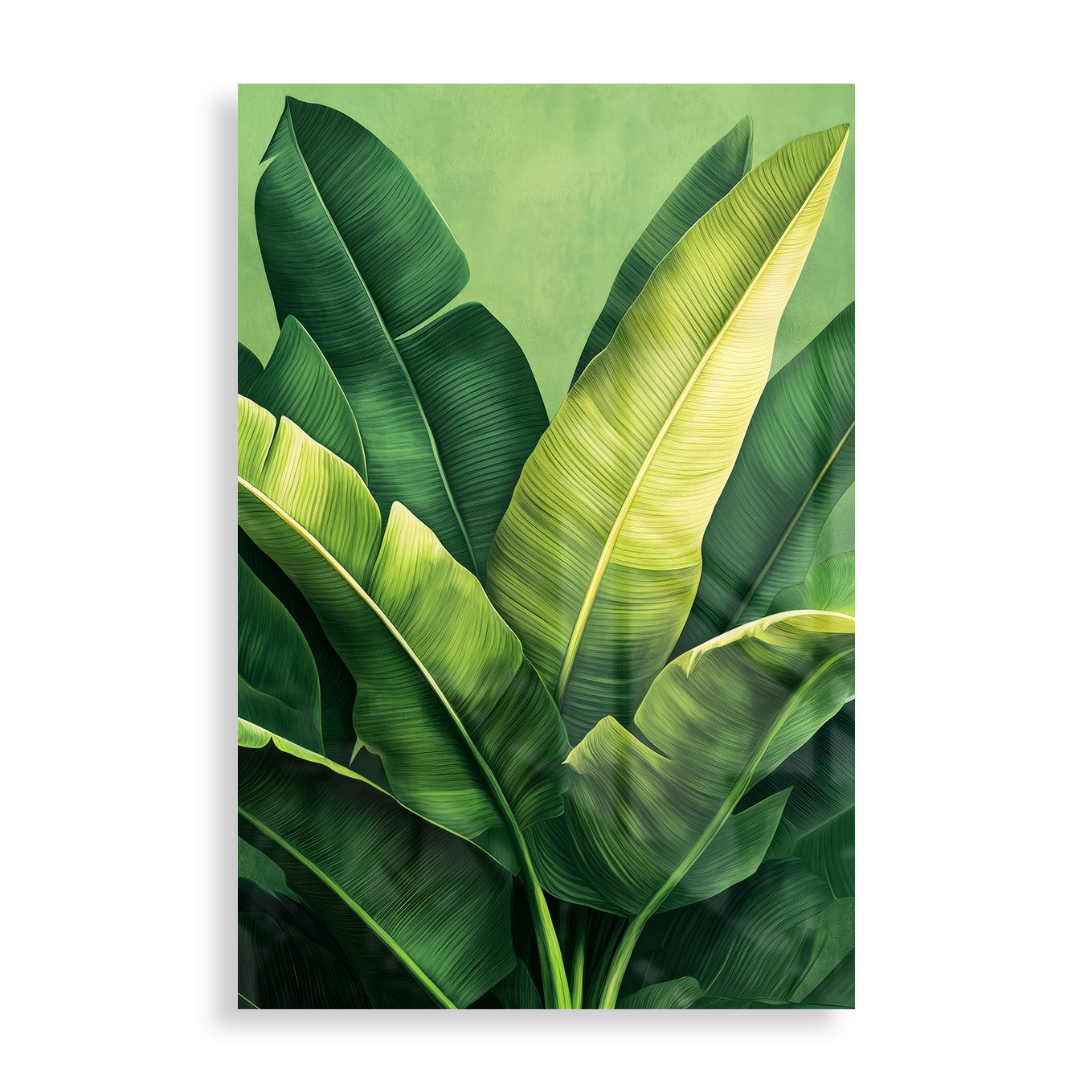 Tropical leaves