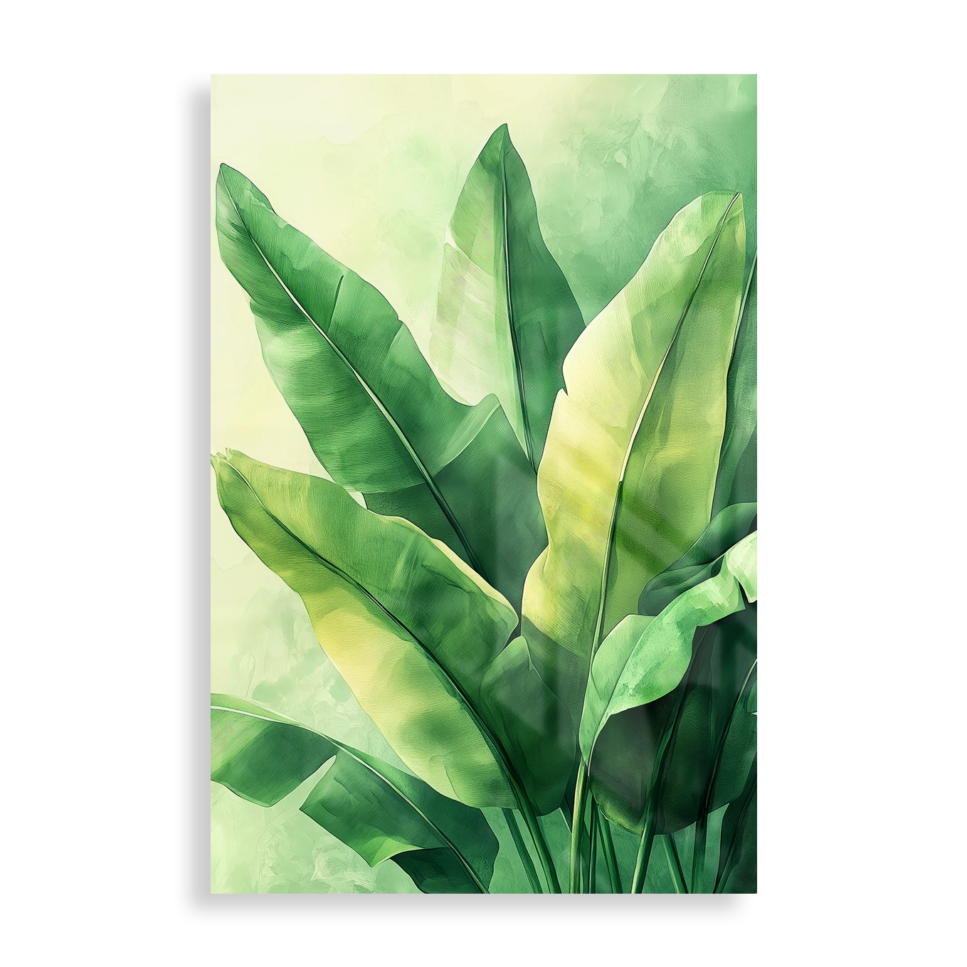 Tropical leaves