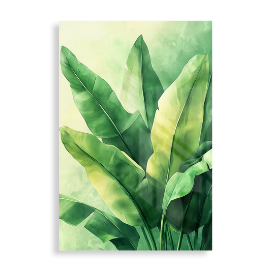 Tropical leaves