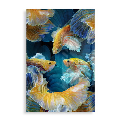 Colorful goldfish