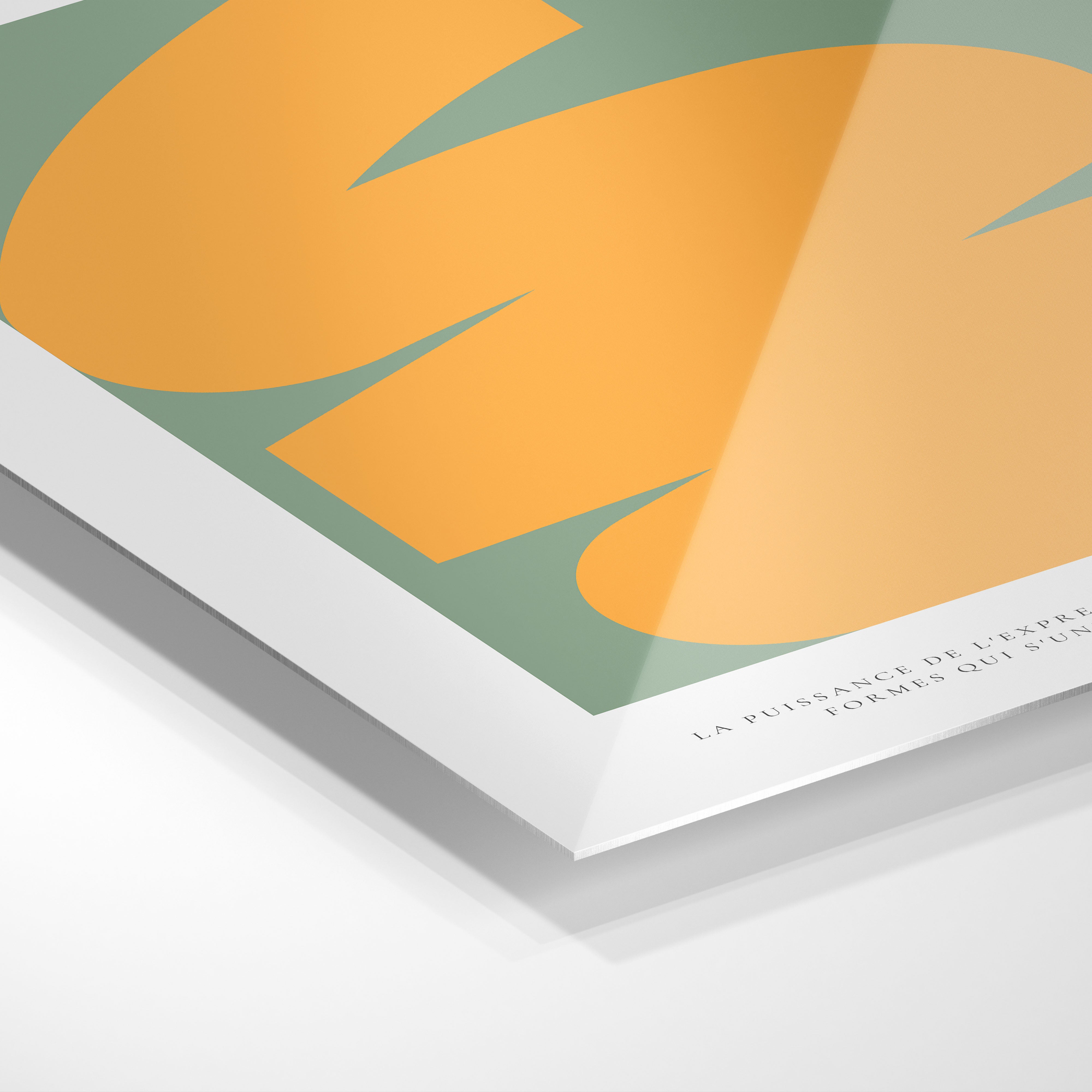 L'Expression Des Formes #1