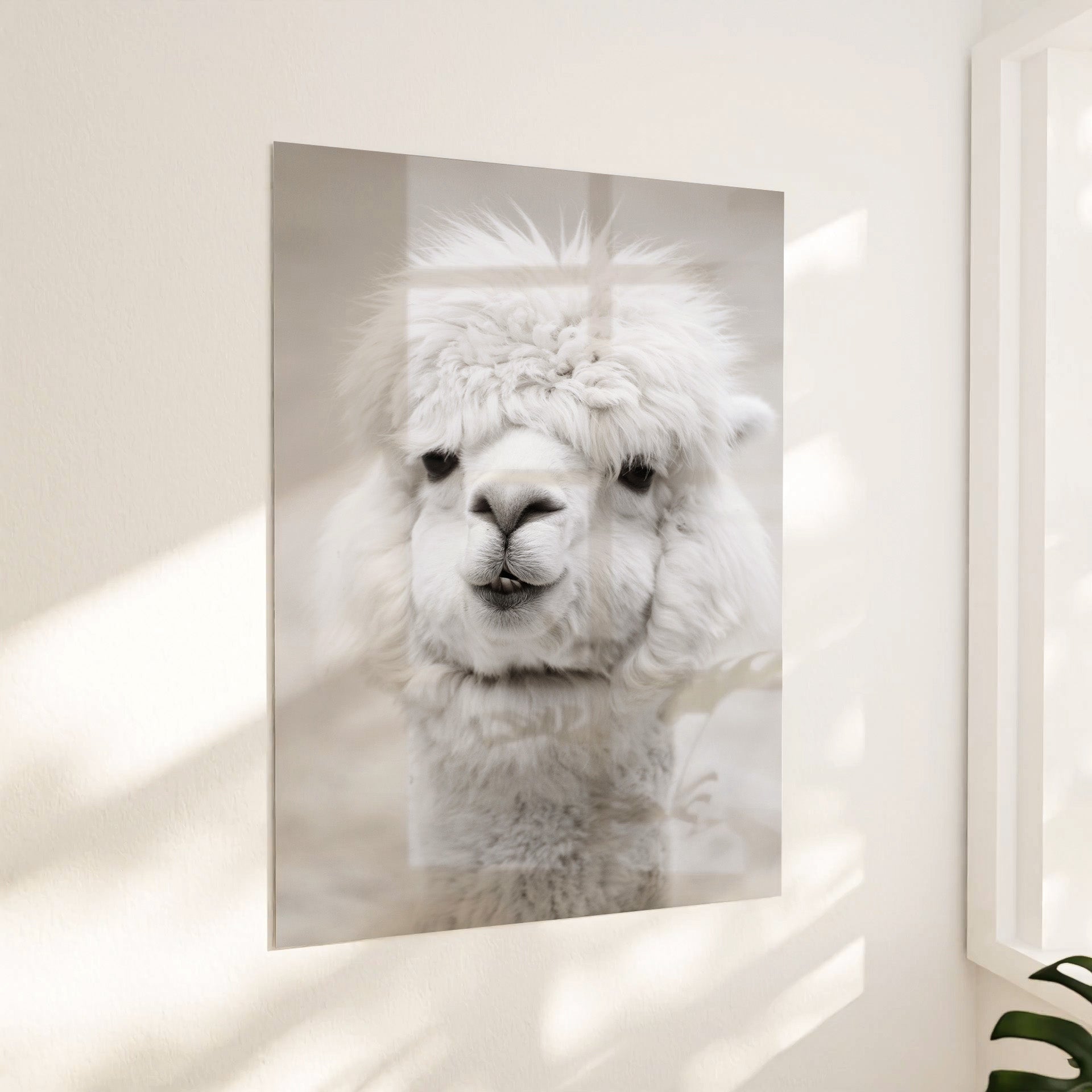 White Alpaca