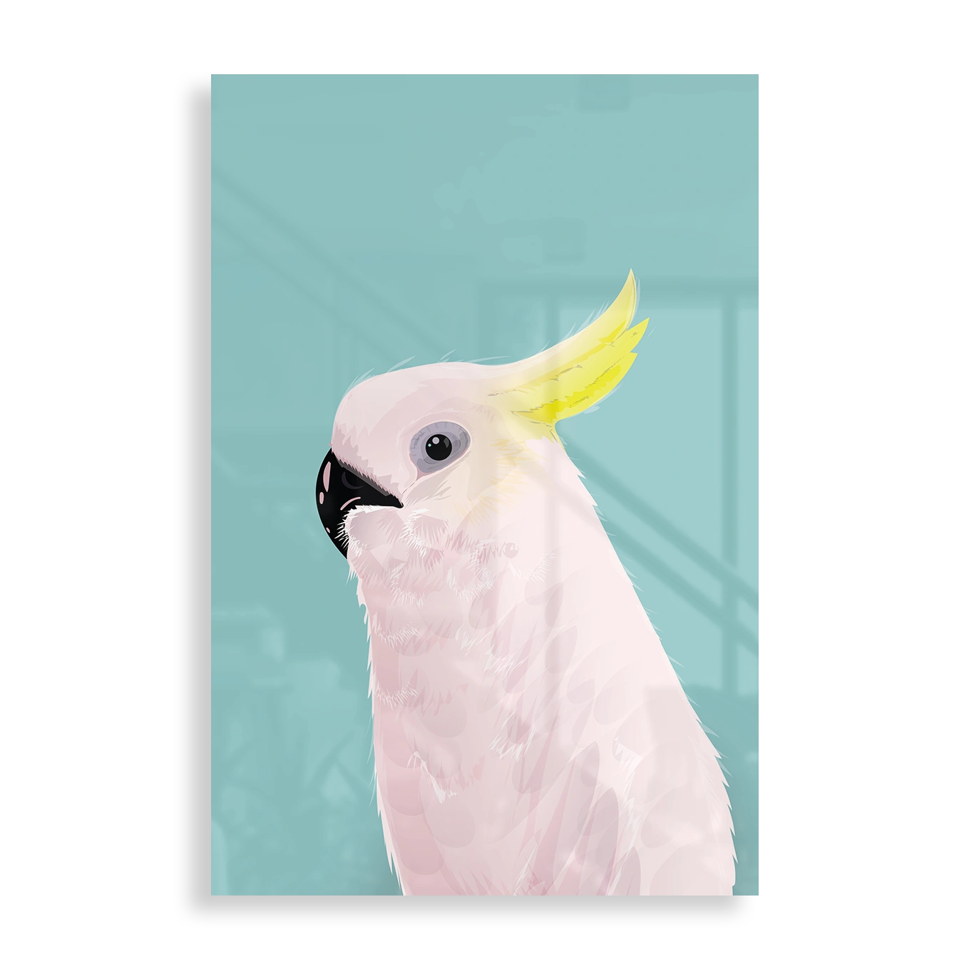 Cockatoo