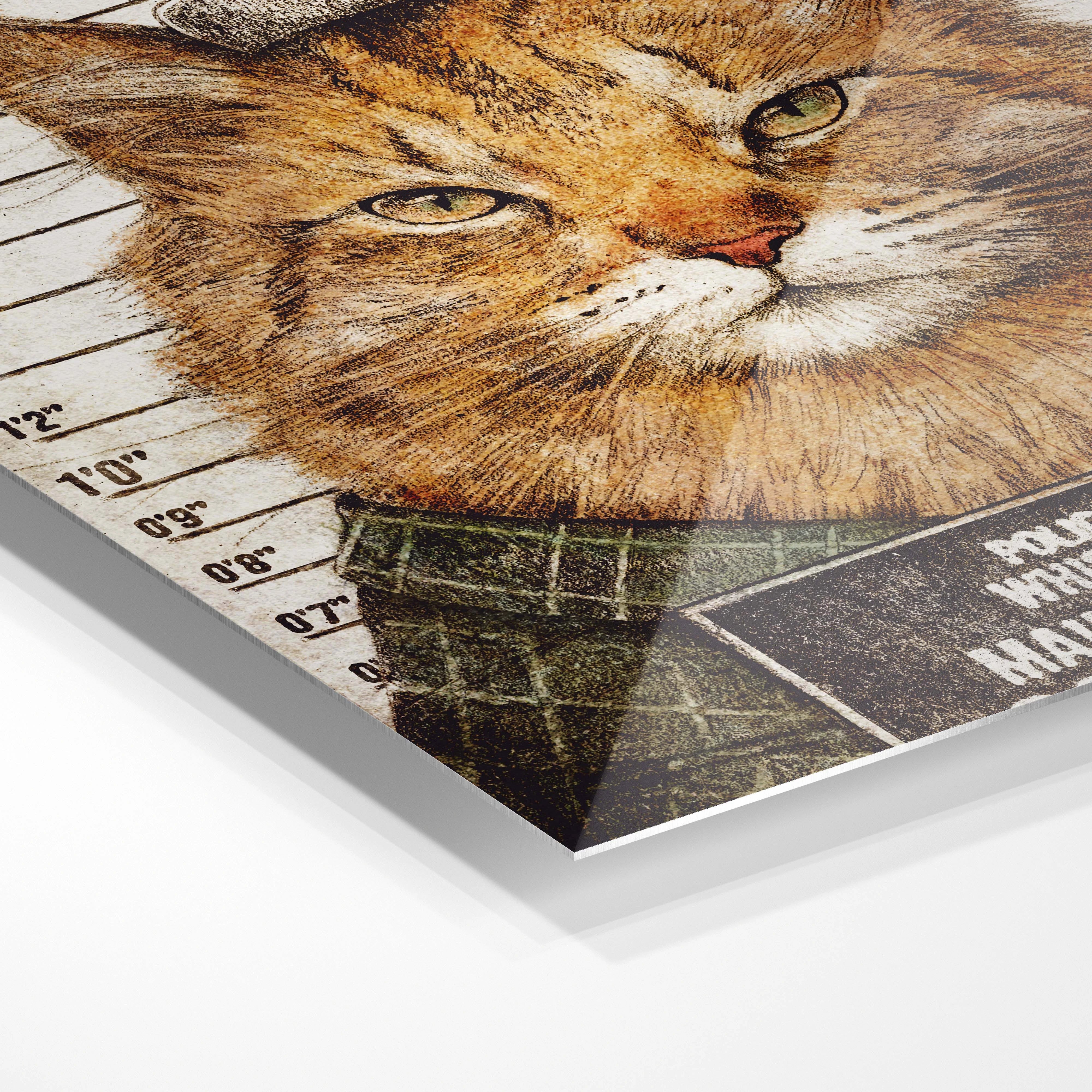 Maine Punisher arrested