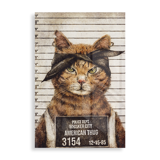 American Thug arrested