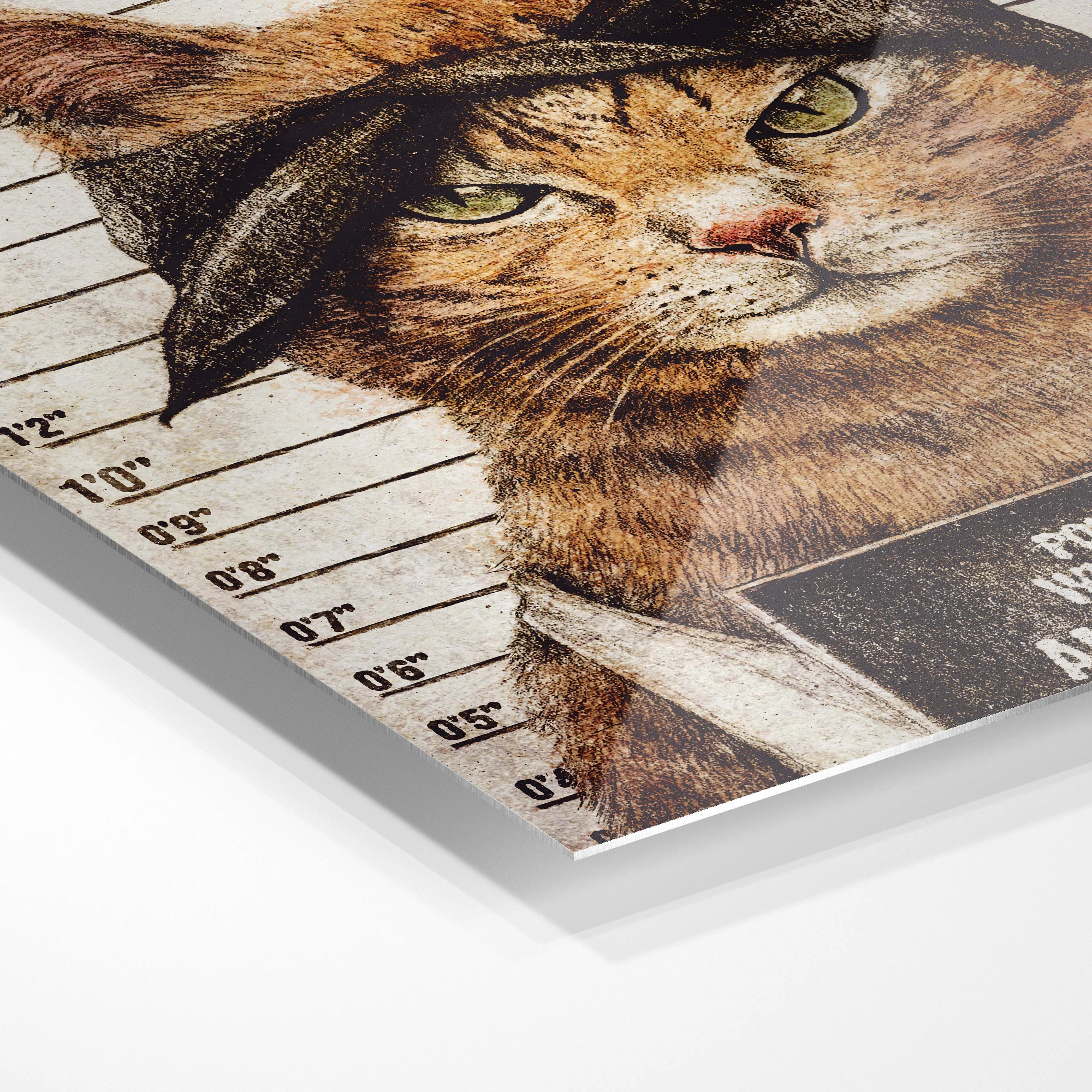 American Thug arrested