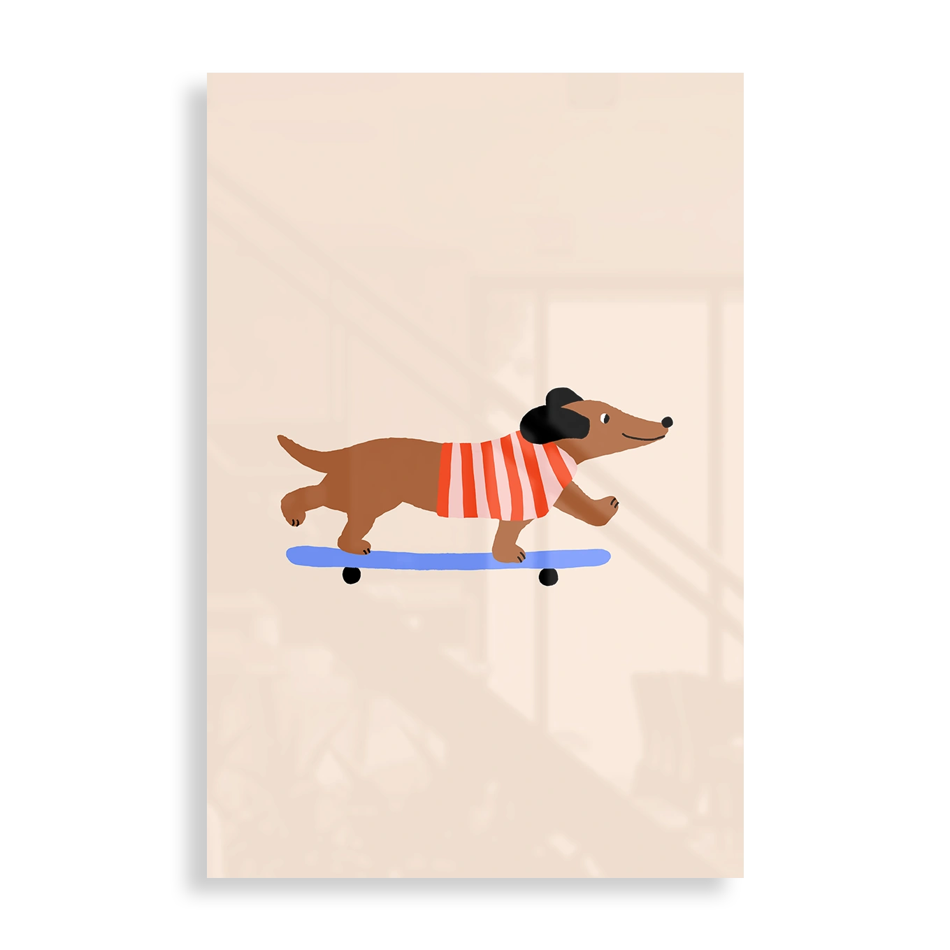 Dachshund on Skateboard