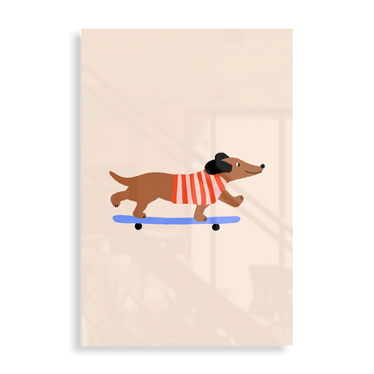 Dachshund on Skateboard