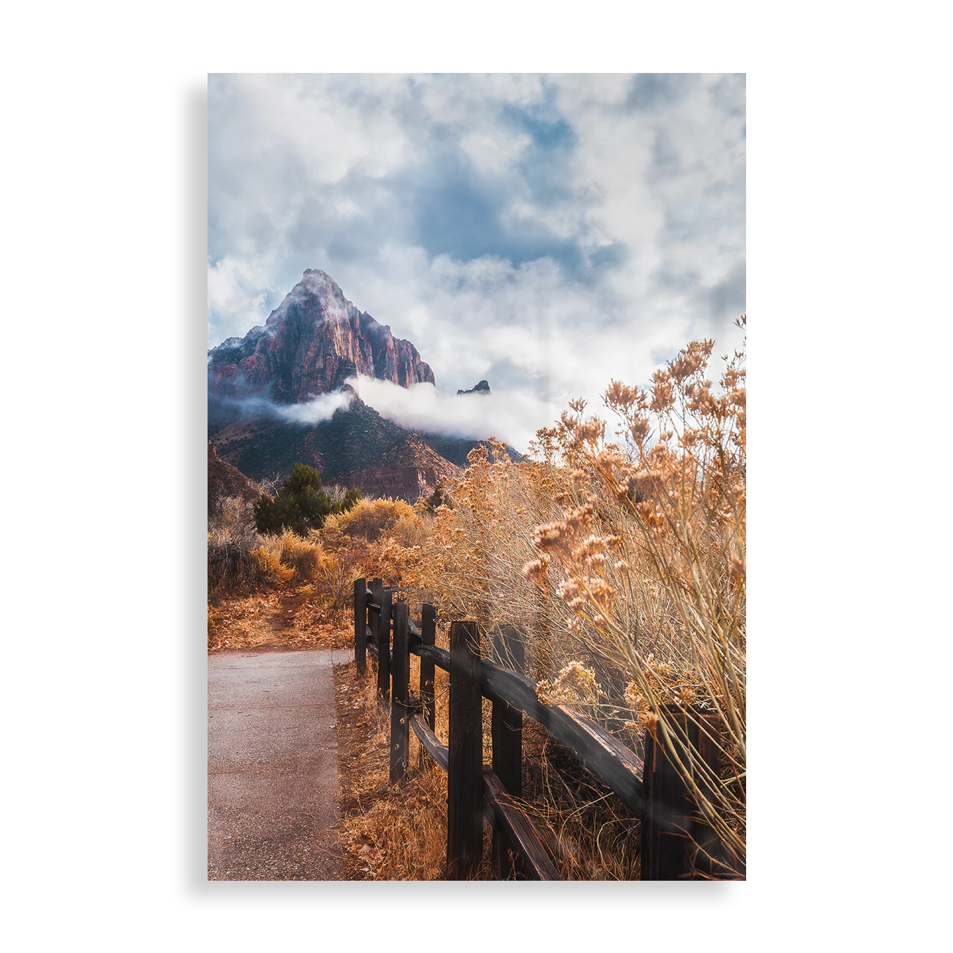 Trail to the mountain