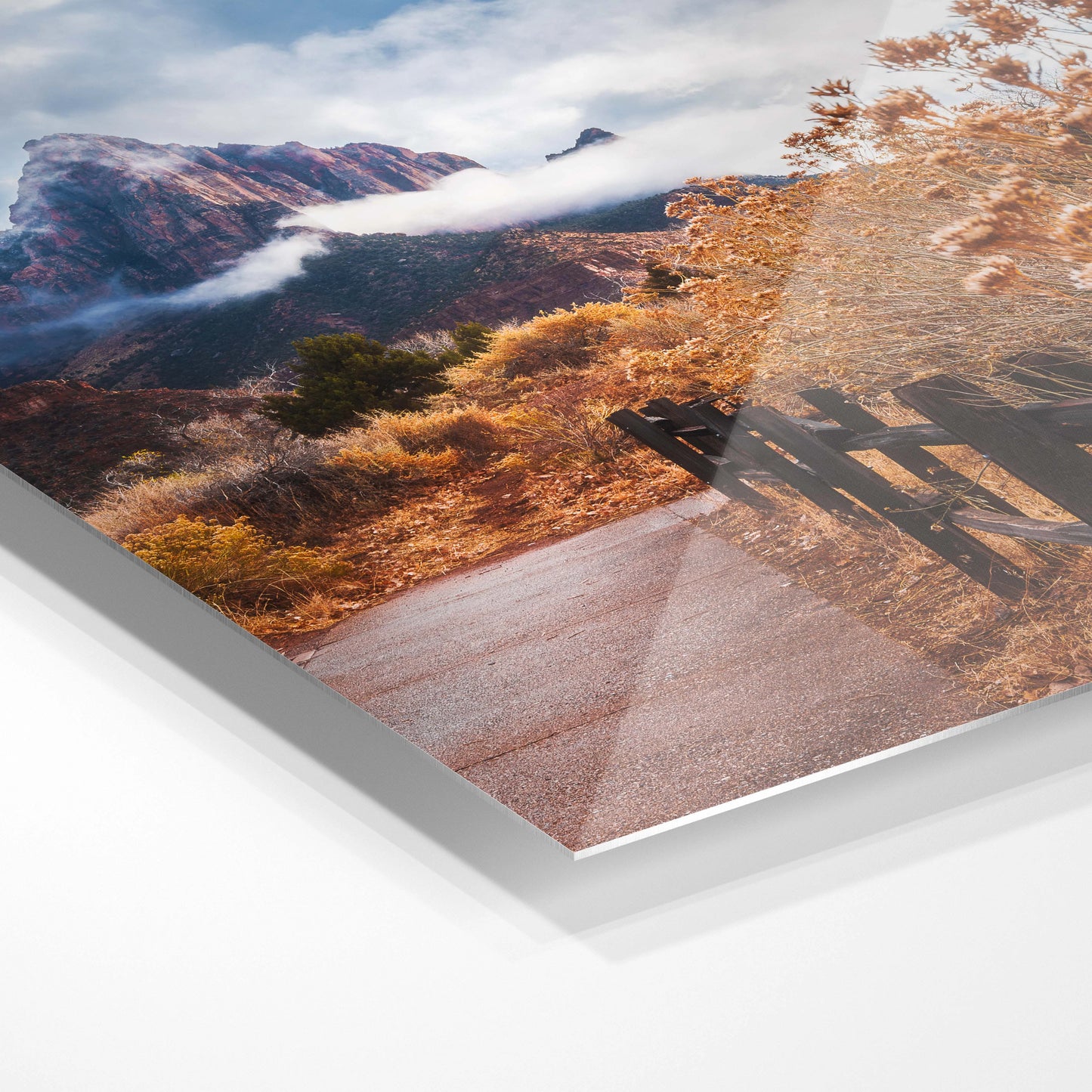 Trail to the mountain