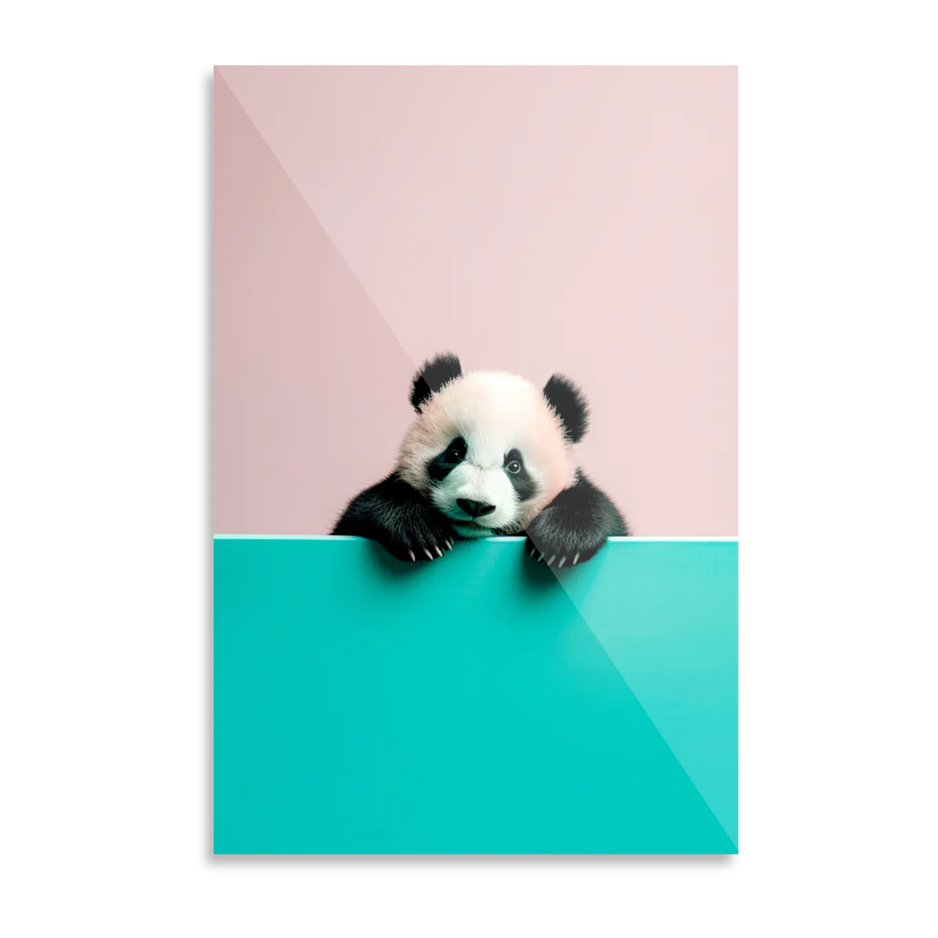 Cute little panda