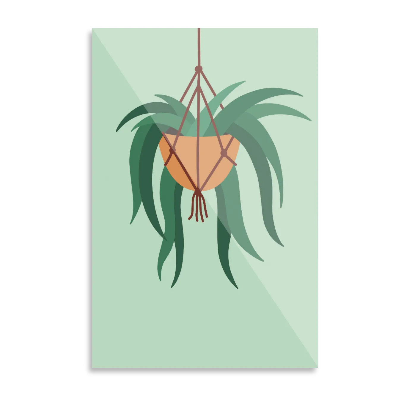 Hanging plant in pot