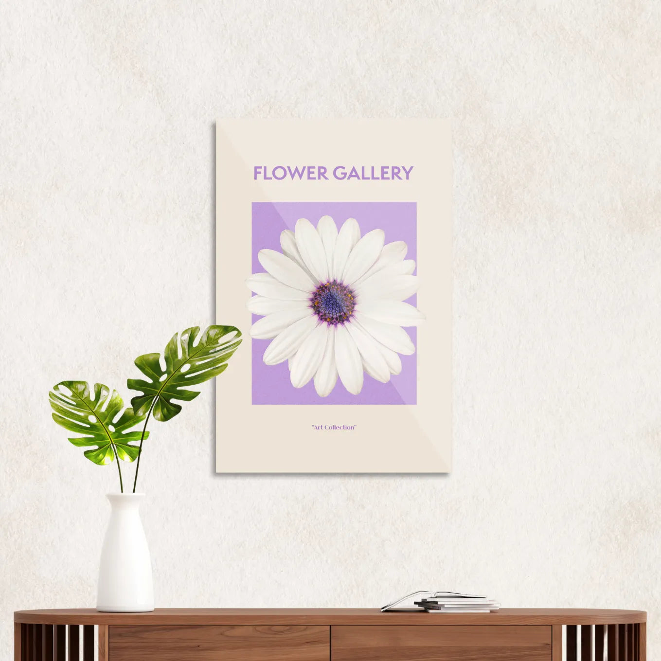 White Spanish daisy