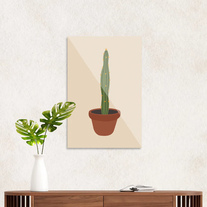 Kaktusplante i potte 3