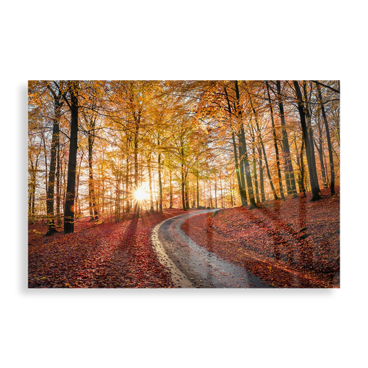 Söderåsen National Park, Sweden