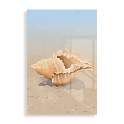 Simple seashell