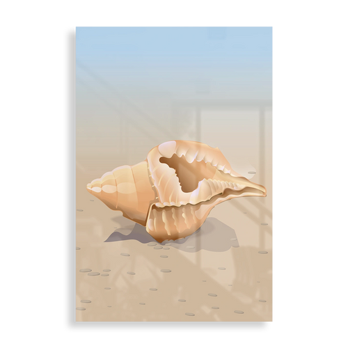 Simple seashell