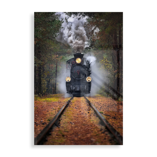 Through the autumn forest