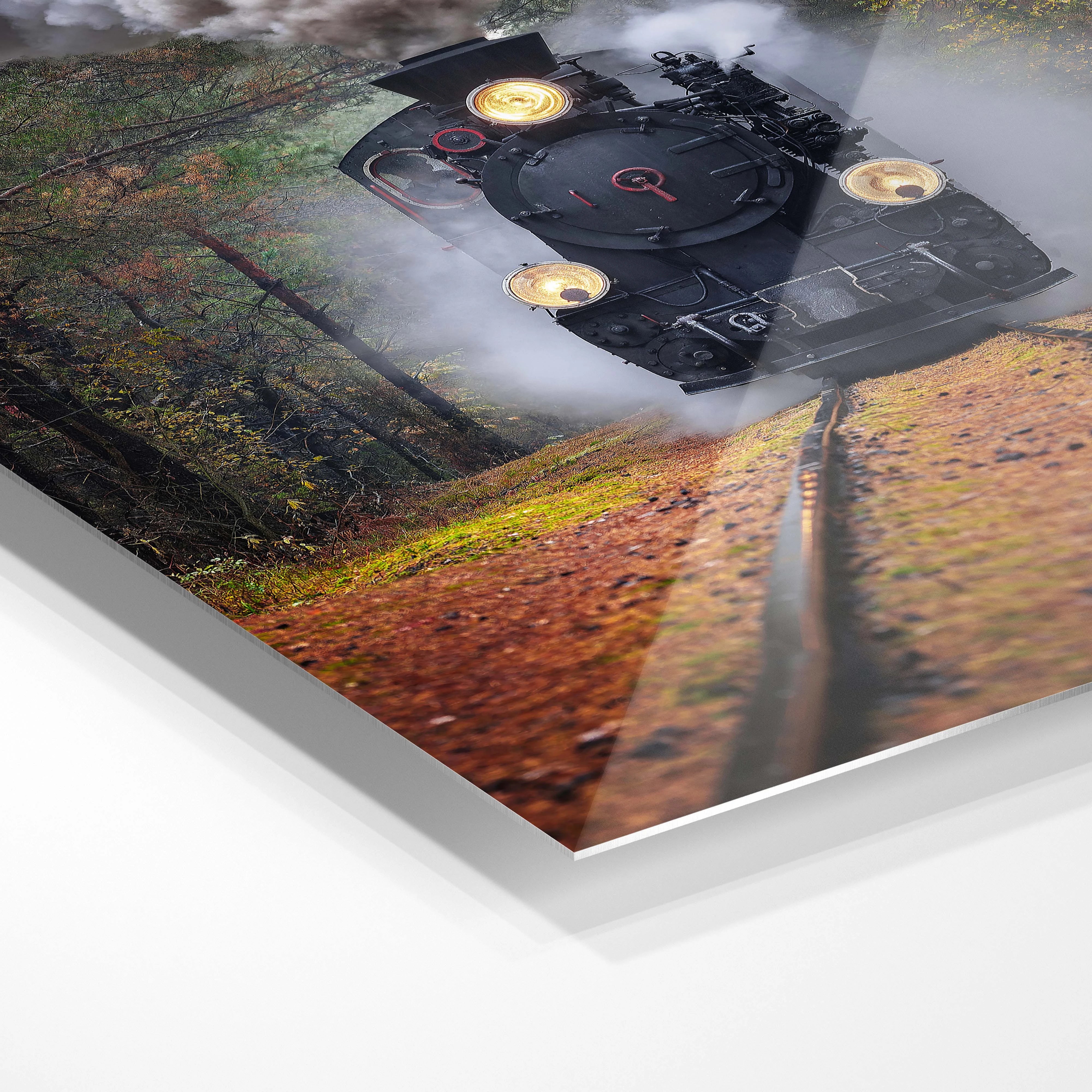 Through the autumn forest