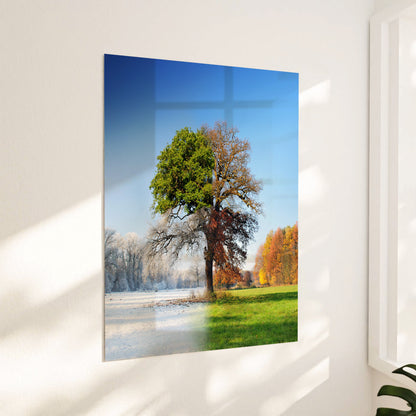 The four seasons tree