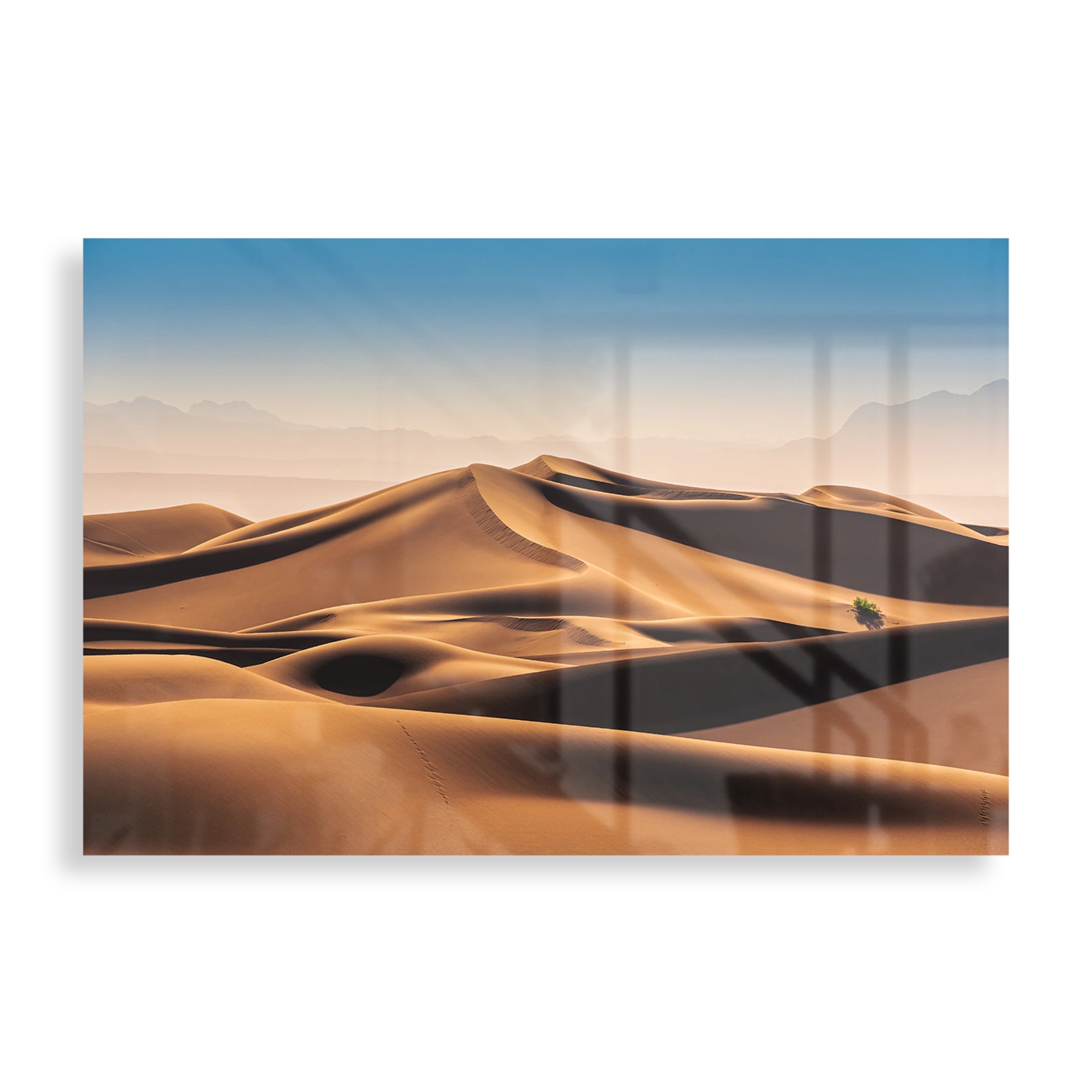 Desert landscape