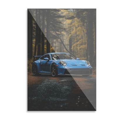 Blå Porsche i skoven