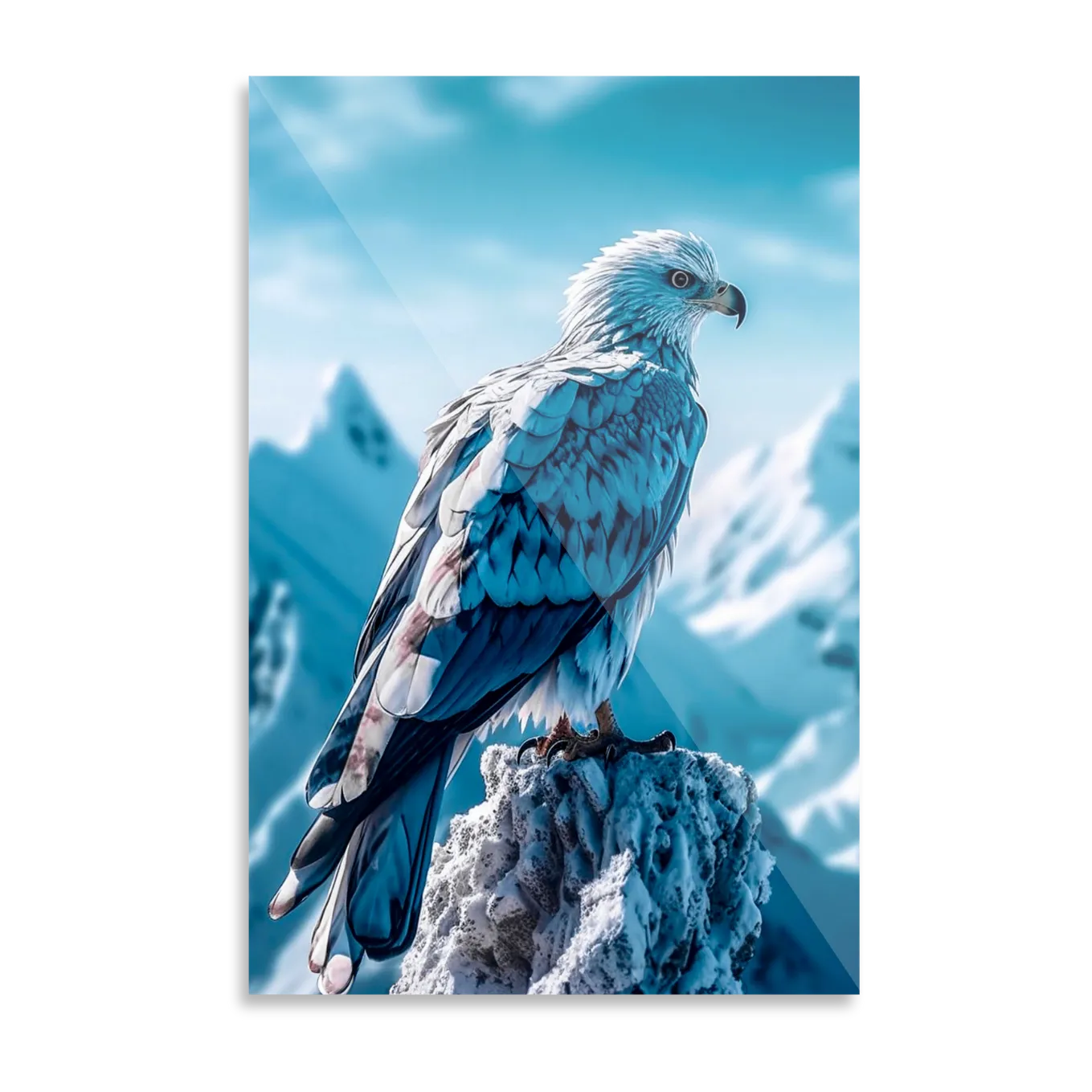 Eagle in winter landscape