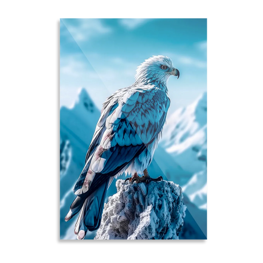 Ørn i vinterlandskab