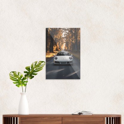 Porsche i efterårsvejr