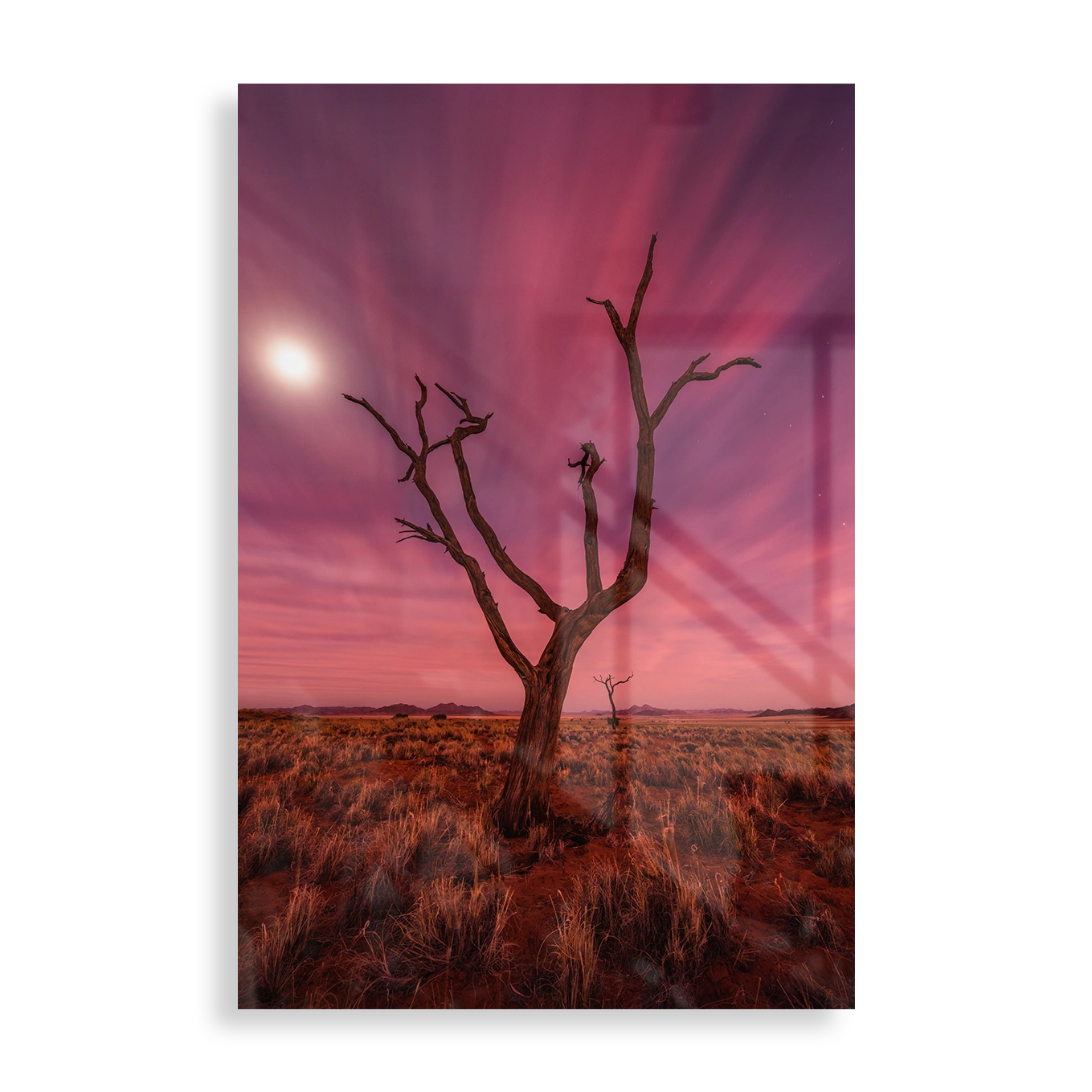 Farverigt ørkenlandskab