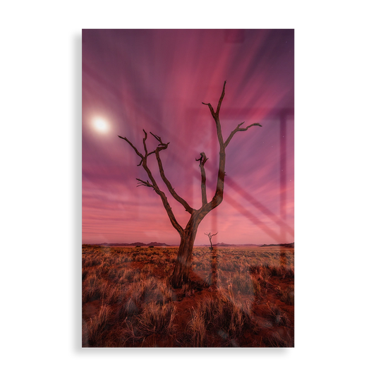 Colorful desert landscape