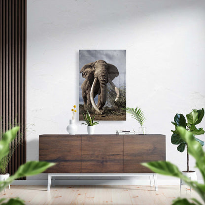 Majestætisk elefant