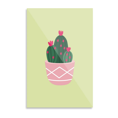 Kaktusplante i potte 1