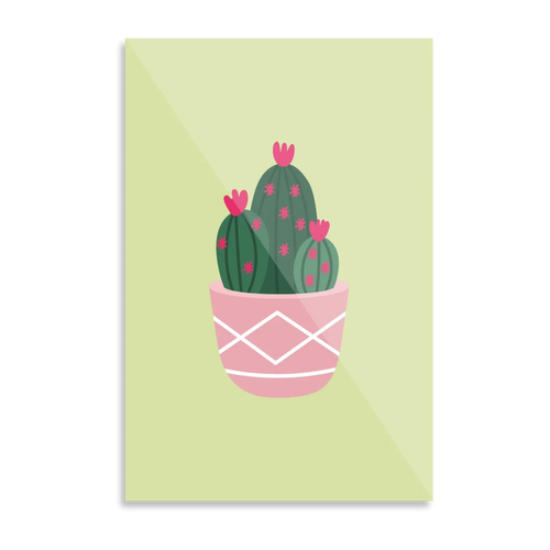 Kaktusplante i potte 1