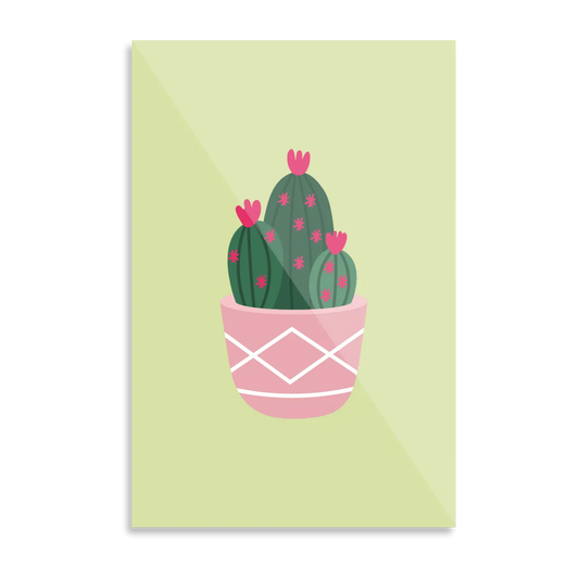 Kaktusplante i potte 1