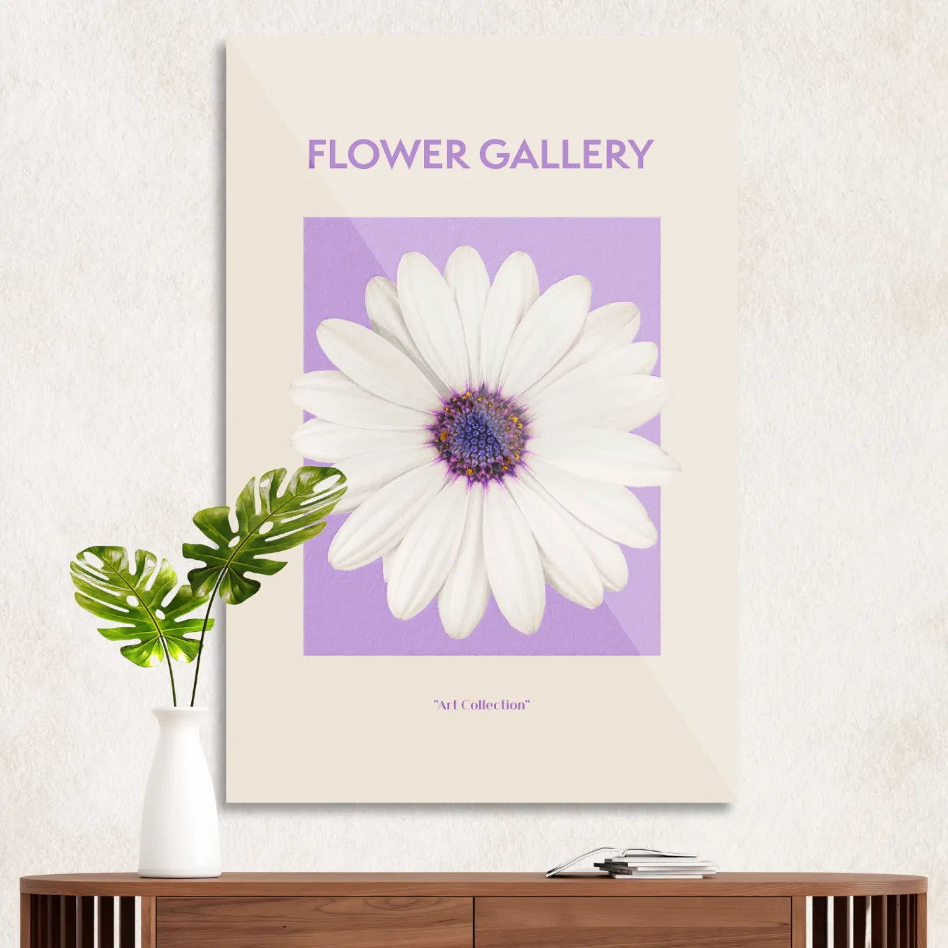 White Spanish daisy