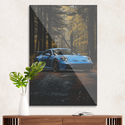 Blå Porsche i skoven